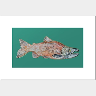 1Sockeye Salmon Posters and Art